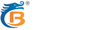 常州宝龙电机股份有限公司